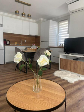 M&M Center Apartment with free parking